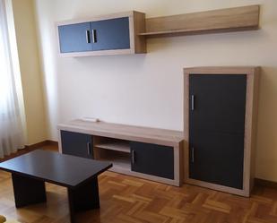 Living room of Apartment to rent in Burgos Capital  with Storage room, Furnished and Oven