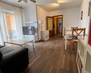 Sala d'estar de Apartament de lloguer en Daimiel amb Aire condicionat, Calefacció i Terrassa