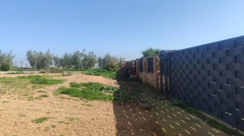 Terreny en venda a Calle el Chiriveje, 12, Guareña, Badajoz - imatge 5 Foto 5 de Terreny en venda a Calle el Chiriveje, 12, Guareña, Badajoz