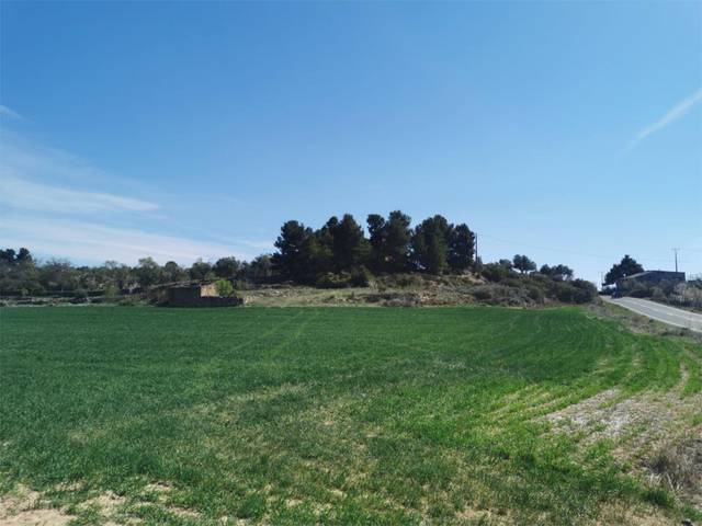 Terreno en Venta en Carretera Albí, 39 en Vinaixa