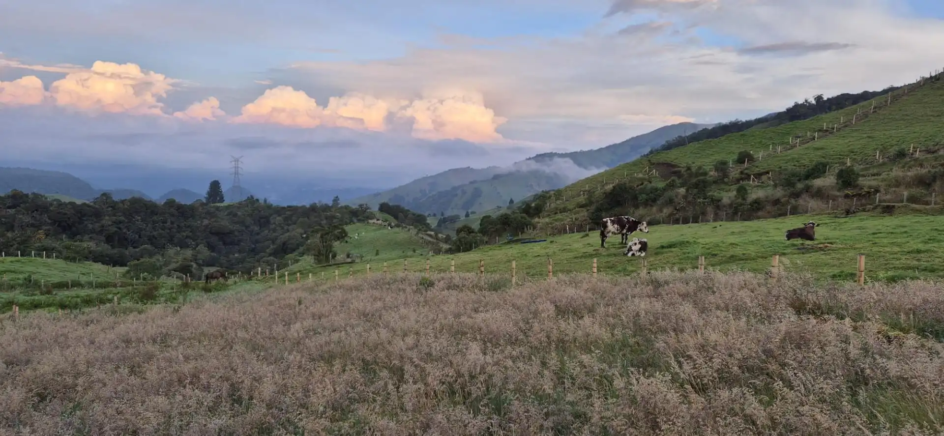Vista exterior de Local de alquiler en Basauri  con Calefacción