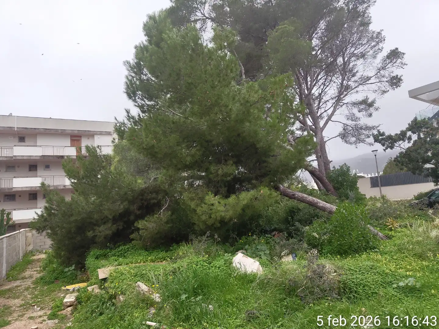 Grundstücke zum Verkauf in  Palma de Mallorca