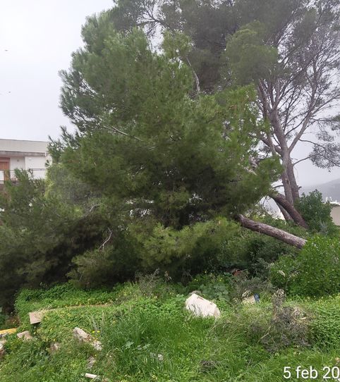 Foto 2 von Grundstücke zum Verkauf in Carrer Son Matet, 10, Cala Major, Palma de Mallorca