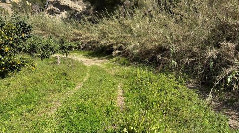 Nicht bebaubares Gelände zum Verkauf in Partida Les Tronetes, 5, Polop, Alicante - Bild 3 Foto 3 von Nicht bebaubares Gelände zum Verkauf in Partida Les Tronetes, 5, Polop, Alicante