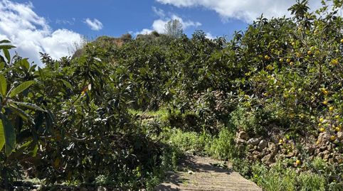 Nicht bebaubares Gelände zum Verkauf in Partida Les Tronetes, 5, Polop, Alicante - Bild 4 Foto 4 von Nicht bebaubares Gelände zum Verkauf in Partida Les Tronetes, 5, Polop, Alicante