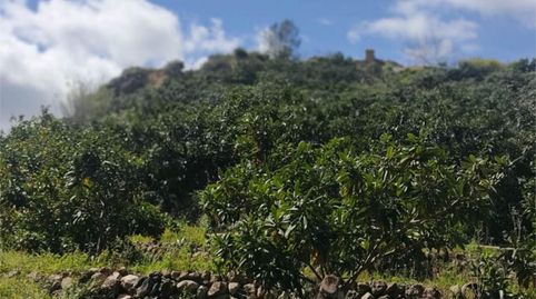 Nicht bebaubares Gelände zum Verkauf in Partida Les Tronetes, 5, Polop, Alicante - Bild 5 Foto 5 von Nicht bebaubares Gelände zum Verkauf in Partida Les Tronetes, 5, Polop, Alicante