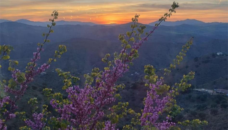 Pis en venda a Ma-3402, 11d, Almogía, Málaga - imatge 1 Foto 1 de Pis en venda a Ma-3402, 11d, Almogía, Málaga
