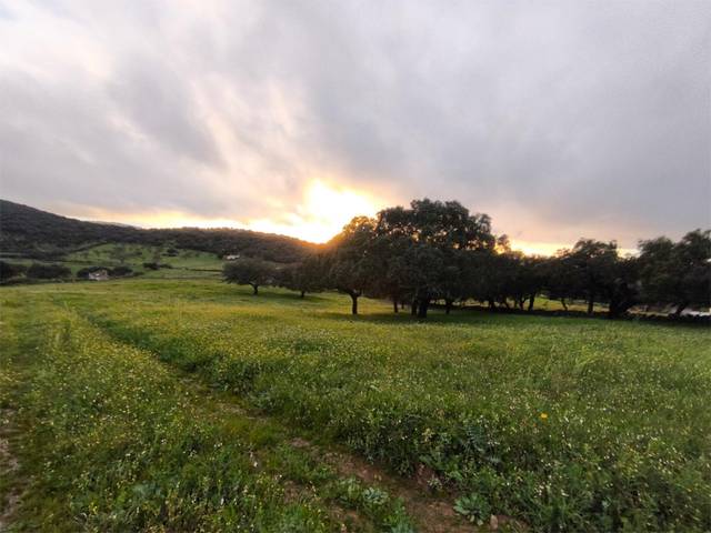 Terreno en Venta en Salvaleón