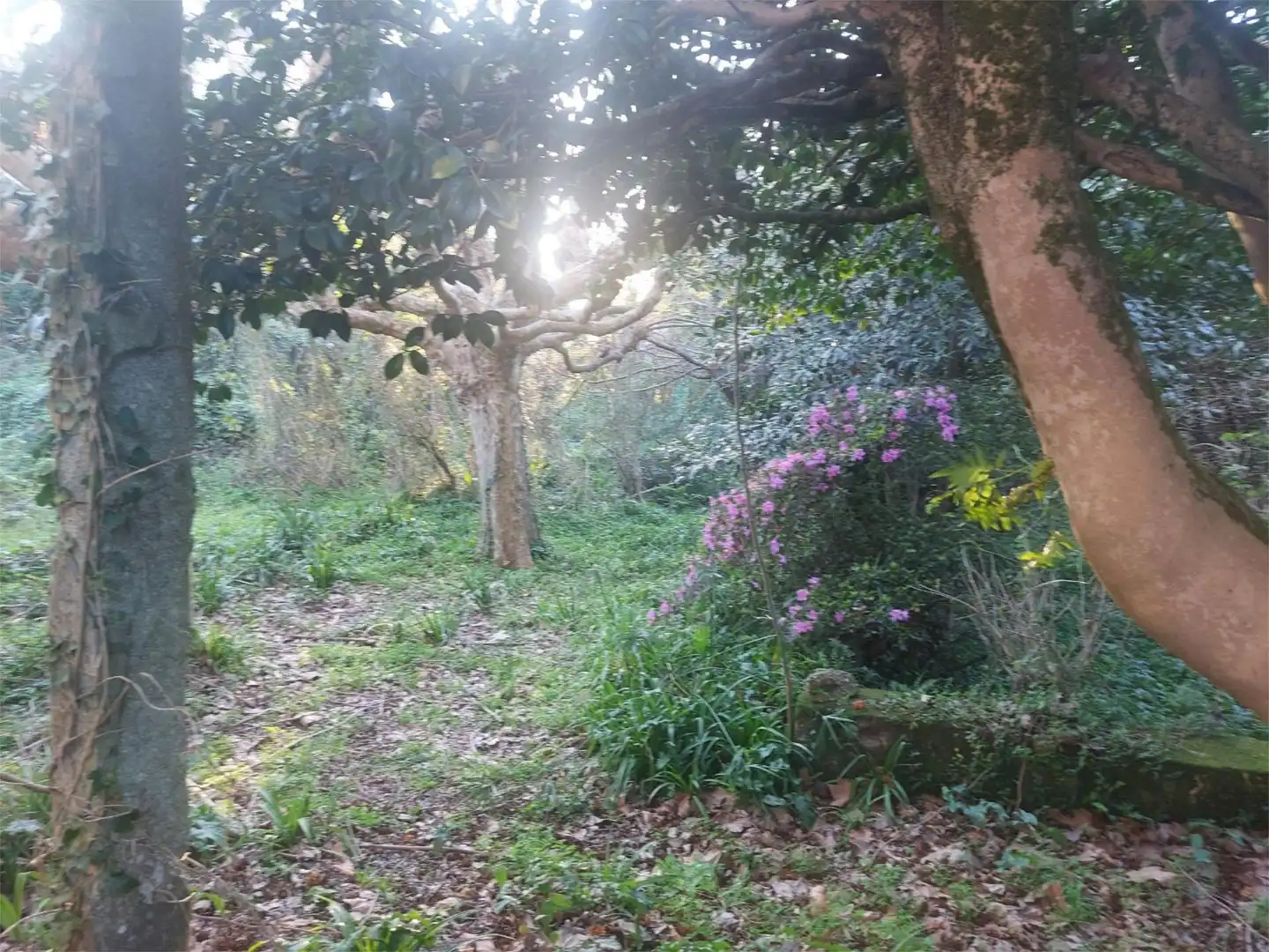 Casa o xalet en venda a Cornazo Jardí de Casa o xalet en venda en Vilagarcía de Arousa