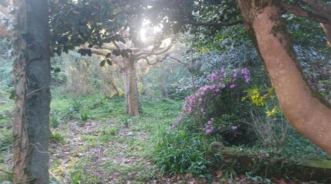 Photo 5 of House or chalet for sale in Cornazo, Pontevedra