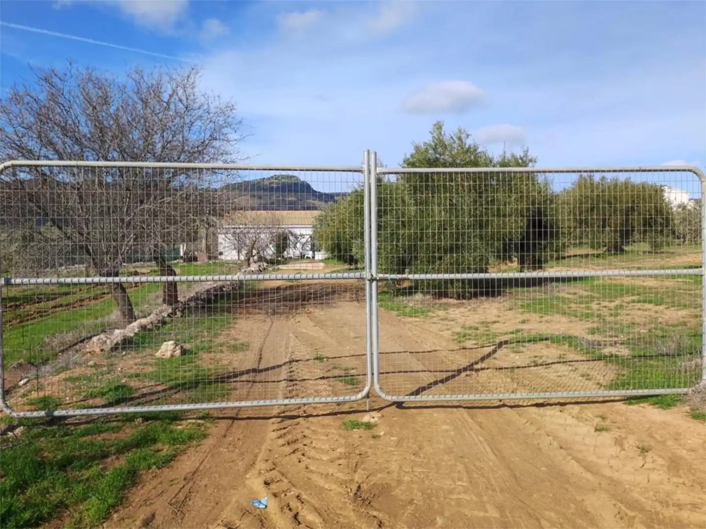 Finca rústica en venta en Calle Giner de los Rios, 46, Arriate Finca rústica en venta en Arriate