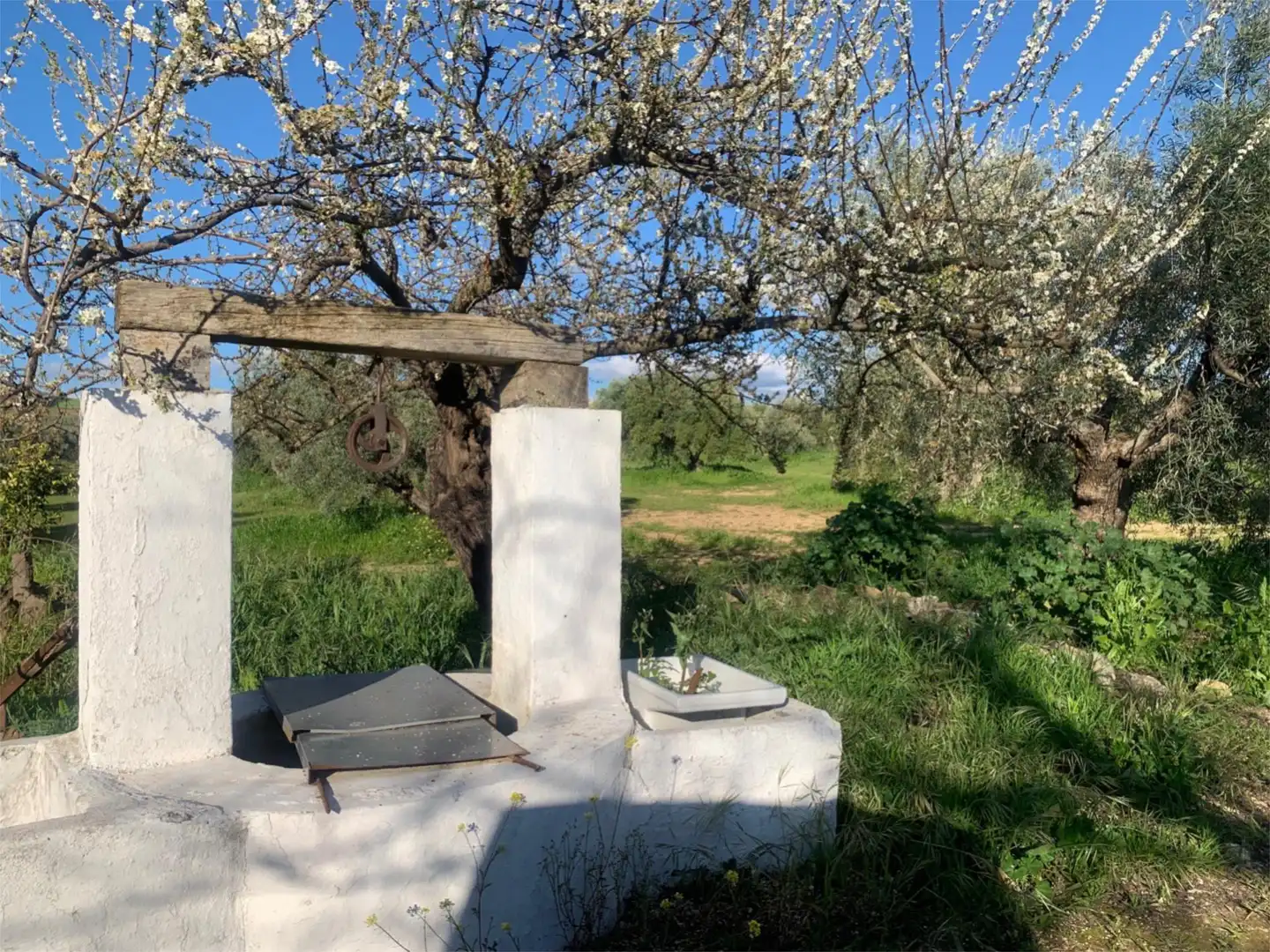 Finca rústica en venta en Calle Giner de los Rios, 46, Arriate Jardín de Finca rústica en venta en Arriate