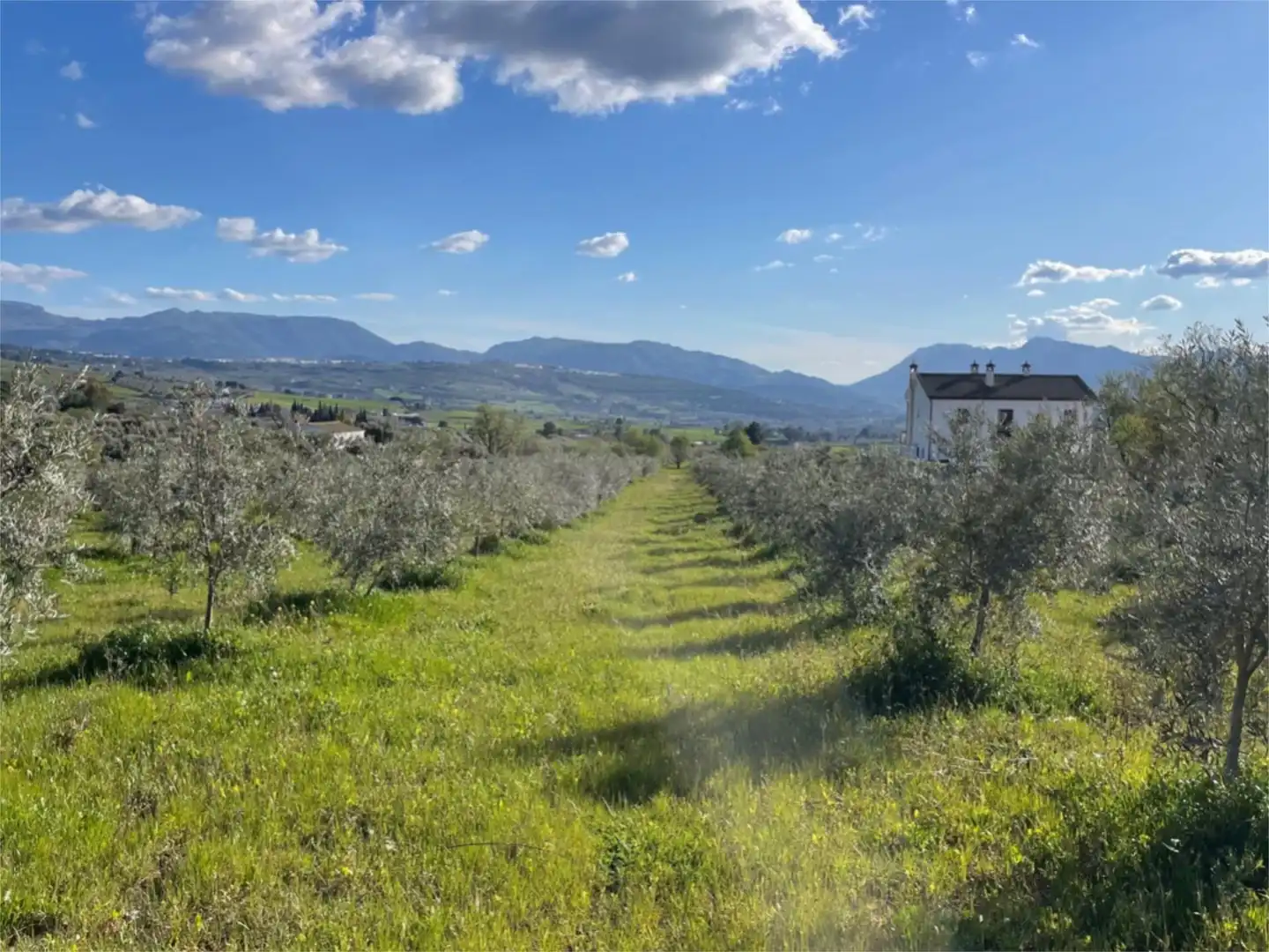 Finca rústica en venta en Calle Giner de los Rios, 46, Arriate Finca rústica en venta en Arriate