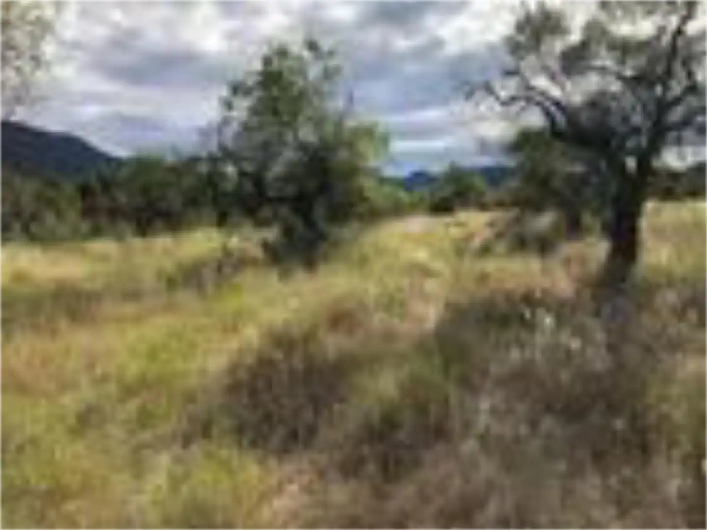 Constructible Land for sale in Plaza España, 2, Valderrobres Constructible Land for sale in Valderrobres