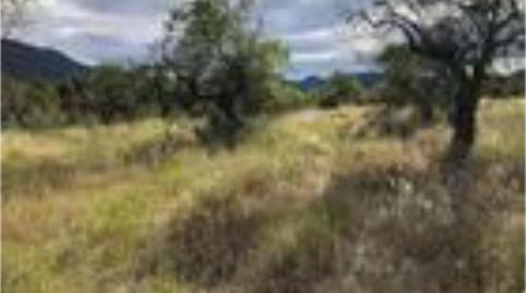 Foto 2 de Urbanizable en venta en Plaza España, 2, Valderrobres, Teruel