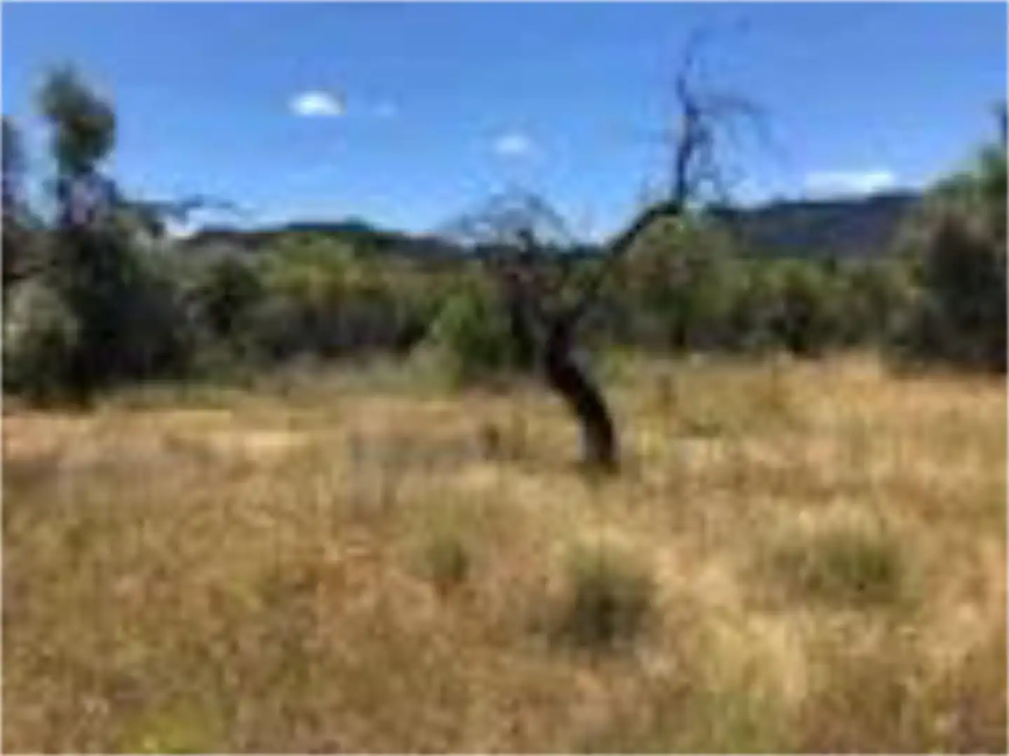 Constructible Land for sale in Plaza España, 2, Valderrobres Constructible Land for sale in Valderrobres