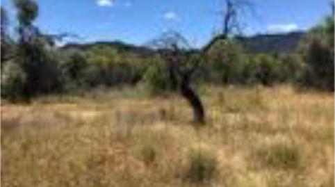 Foto 5 de Urbanizable en venta en Plaza España, 2, Valderrobres, Teruel