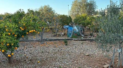 Land for sale in Urbanització Son Daviu Nou, 608, Es Garrovers, Illes Balears - image 5 Photo 5 of Land for sale in Urbanització Son Daviu Nou, 608, Es Garrovers, Illes Balears