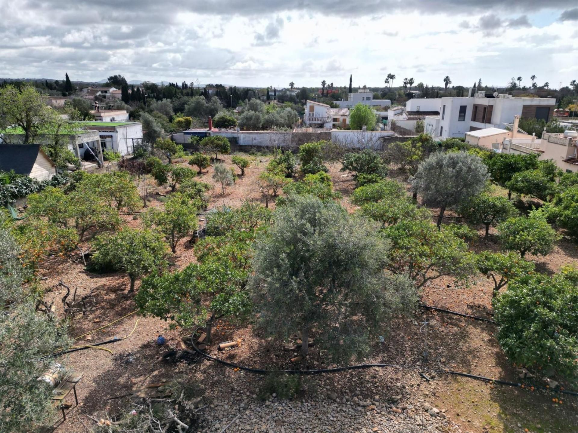 Land for sale in Marratxí