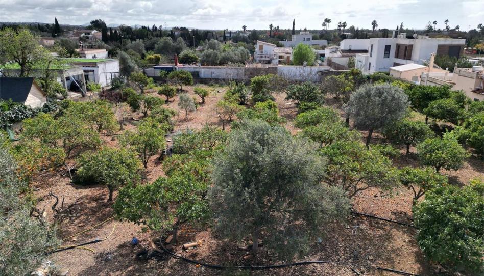 Land for sale in Urbanització Son Daviu Nou, 608, Es Garrovers, Illes Balears - image 1 Photo 1 of Land for sale in Urbanització Son Daviu Nou, 608, Es Garrovers, Illes Balears