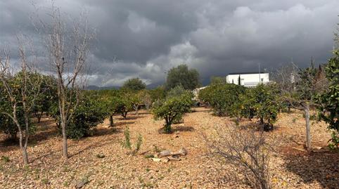 Land for sale in Urbanització Son Daviu Nou, 608, Es Garrovers, Illes Balears - image 2 Photo 2 of Land for sale in Urbanització Son Daviu Nou, 608, Es Garrovers, Illes Balears