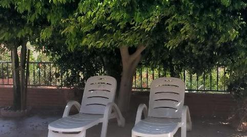 Finca rústica en venta en Diseminado Diseminados, 554, Comares, Málaga - imagen 4 Foto 4 de Finca rústica en venta en Diseminado Diseminados, 554, Comares, Málaga