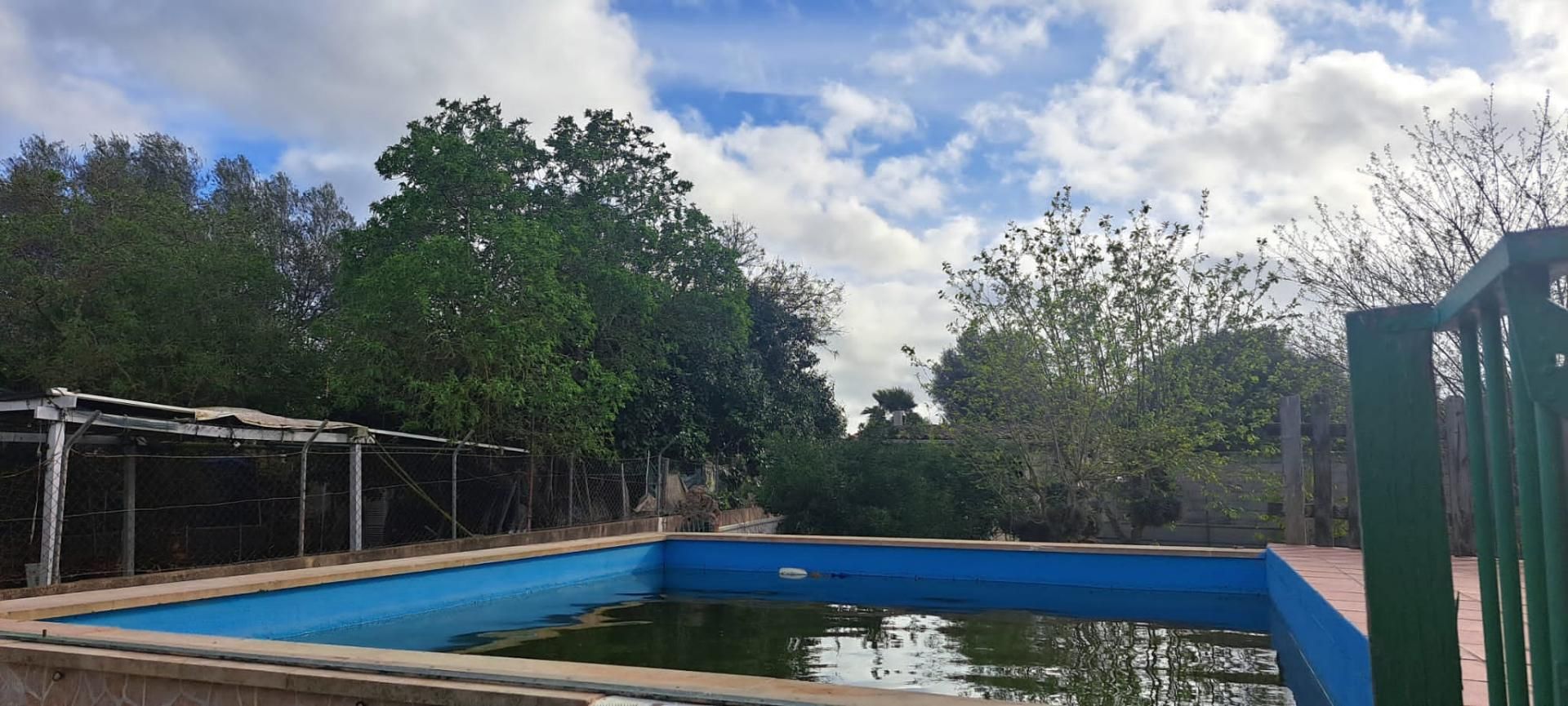 Swimming pool of Country house for sale in Sencelles  with Air Conditioner, Terrace and Swimming Pool