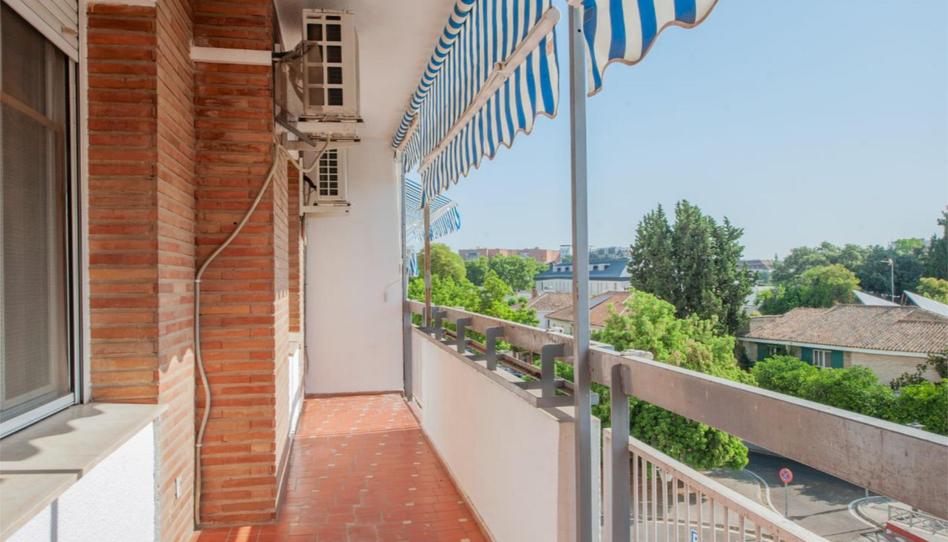 Photo 1 of Flat for sale in Avenida de la Reina Mercedes, 19a, Sector Sur  - La Palmera - Reina Mercedes, Sevilla