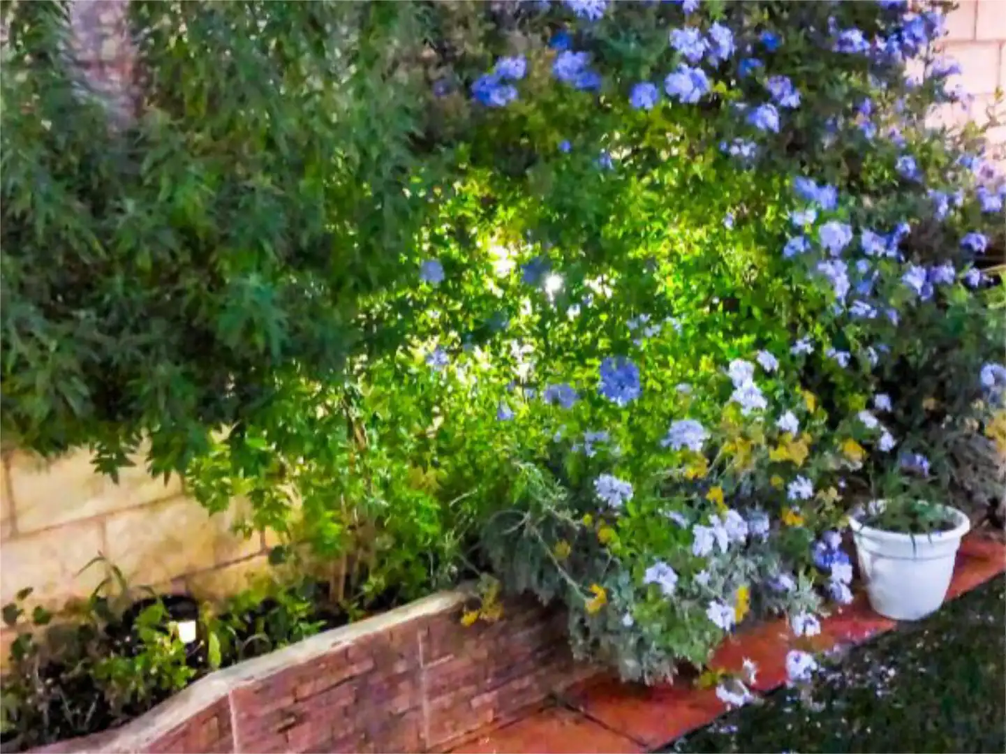 Flat for sale in Avenida de Onil, 1, Castalla Garden of Flat for sale in Castalla with Heating, Private garden and Terrace