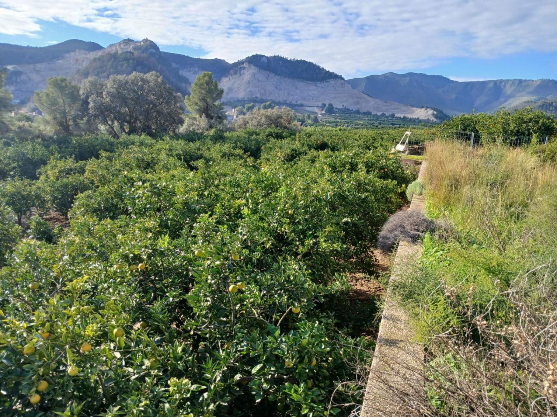 Finca rústica en venda en Adsubia