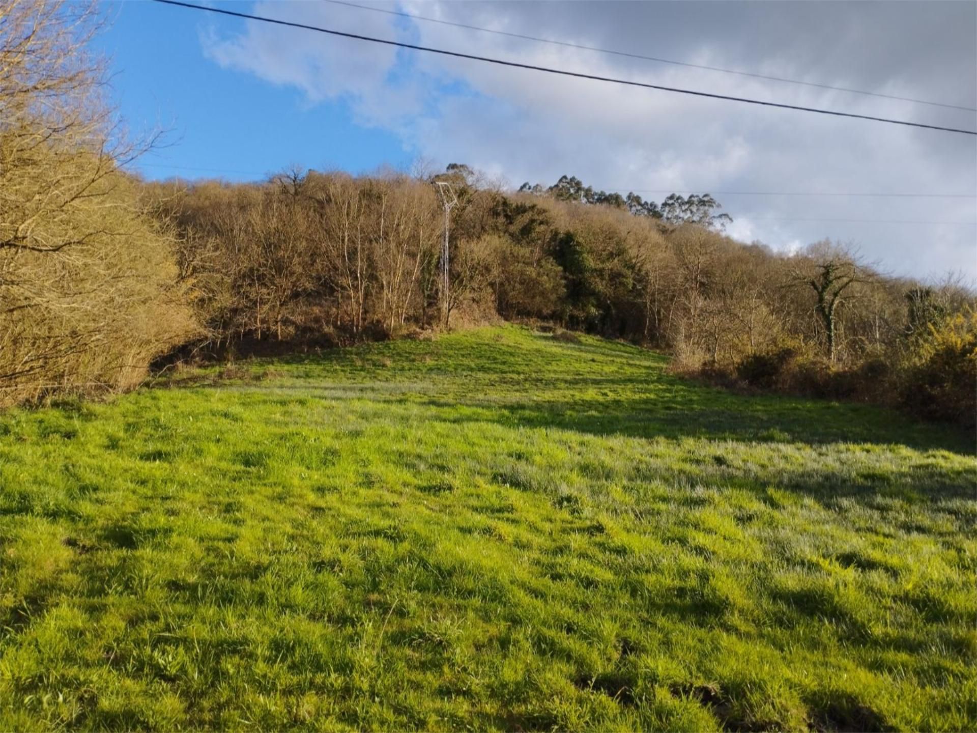 Non-constructible Land for sale in Oviedo 