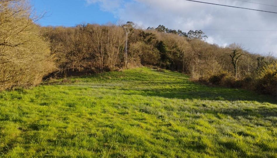 No Urbanitzable en venda a Ov-4, 125, Parroquias Norte - Naranco, Asturias - imatge 1 Foto 1 de No Urbanitzable en venda a Ov-4, 125, Parroquias Norte - Naranco, Asturias