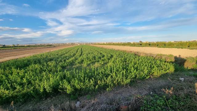 Terreno en Venta en Partida Saavedra, 32 en El Edén