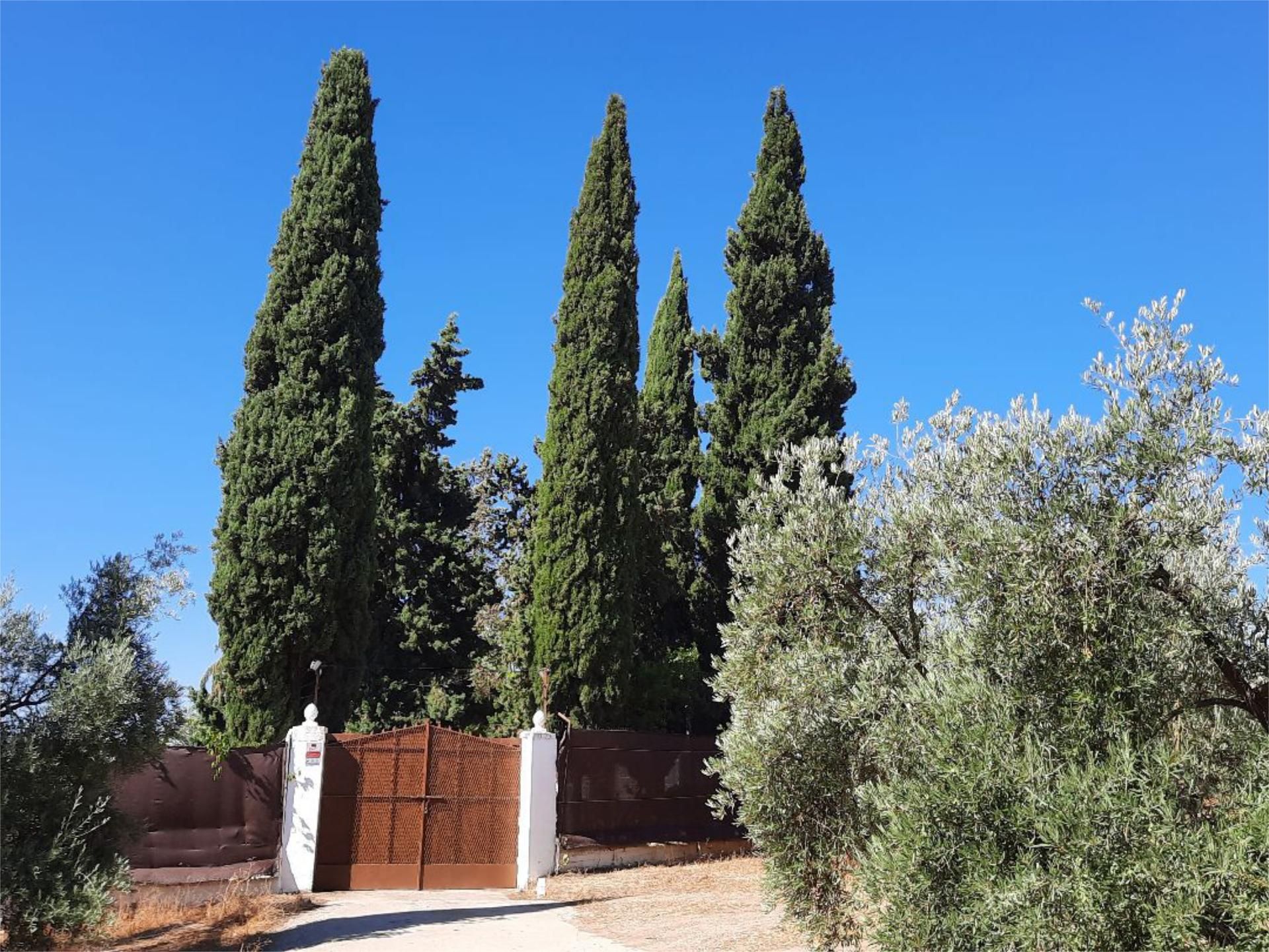 Jardí de Pis en venda en Aguilar de la Frontera amb Jardí privat, Terrassa i Moblat