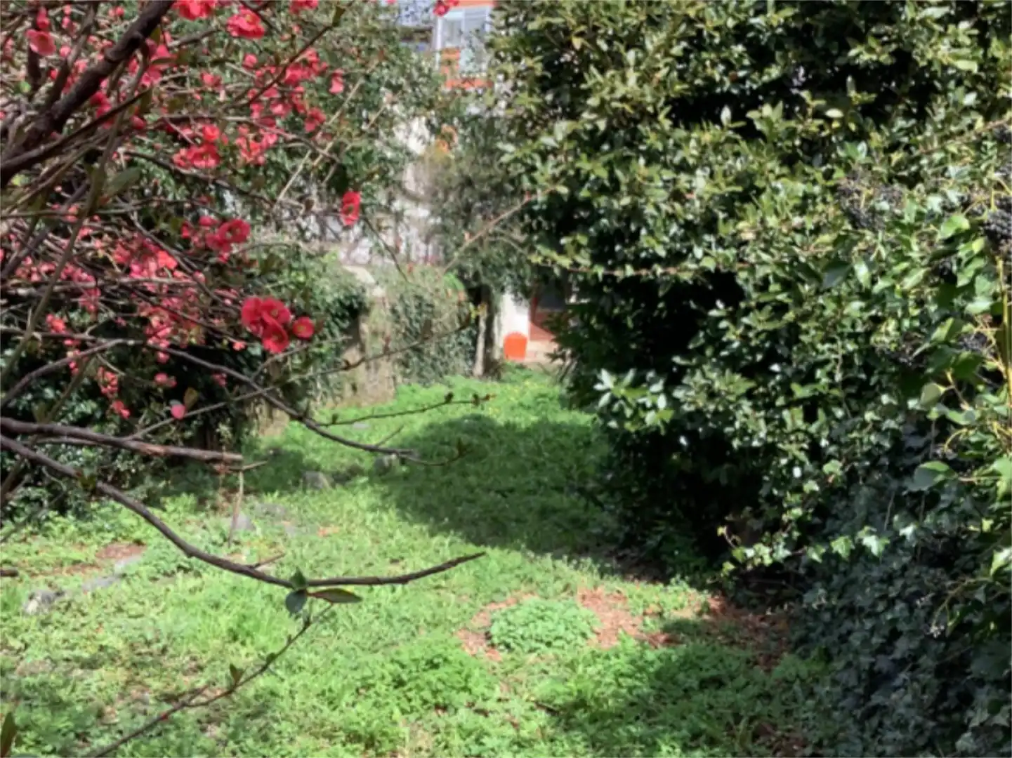 Garden of Commercial properties for sale in Ribes de Freser