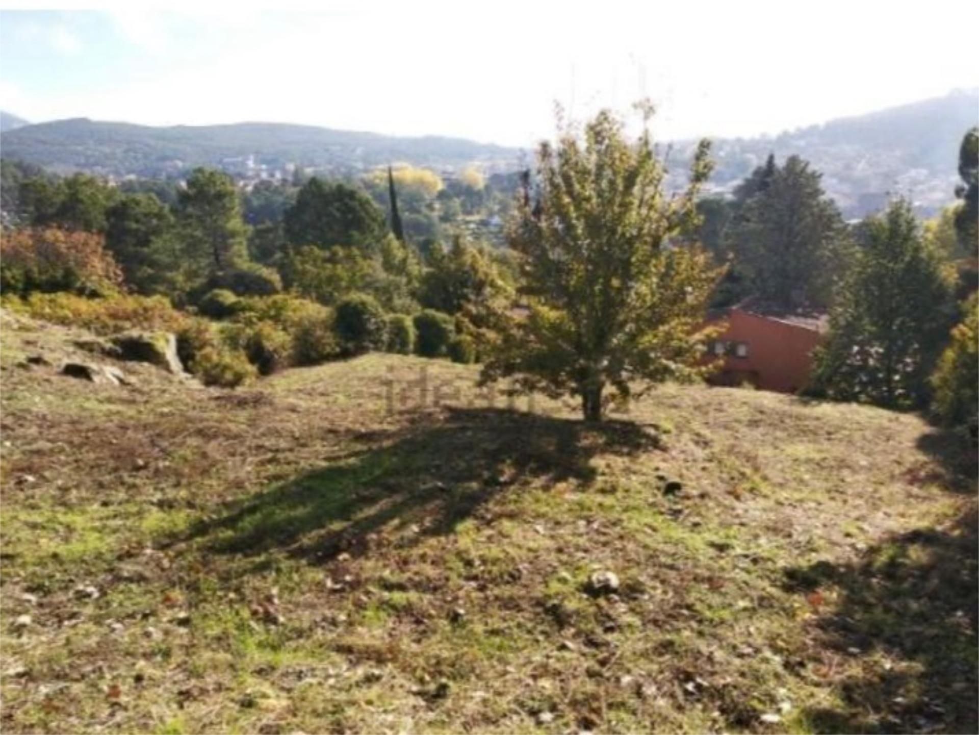Constructible Land for sale in Arenas de San Pedro