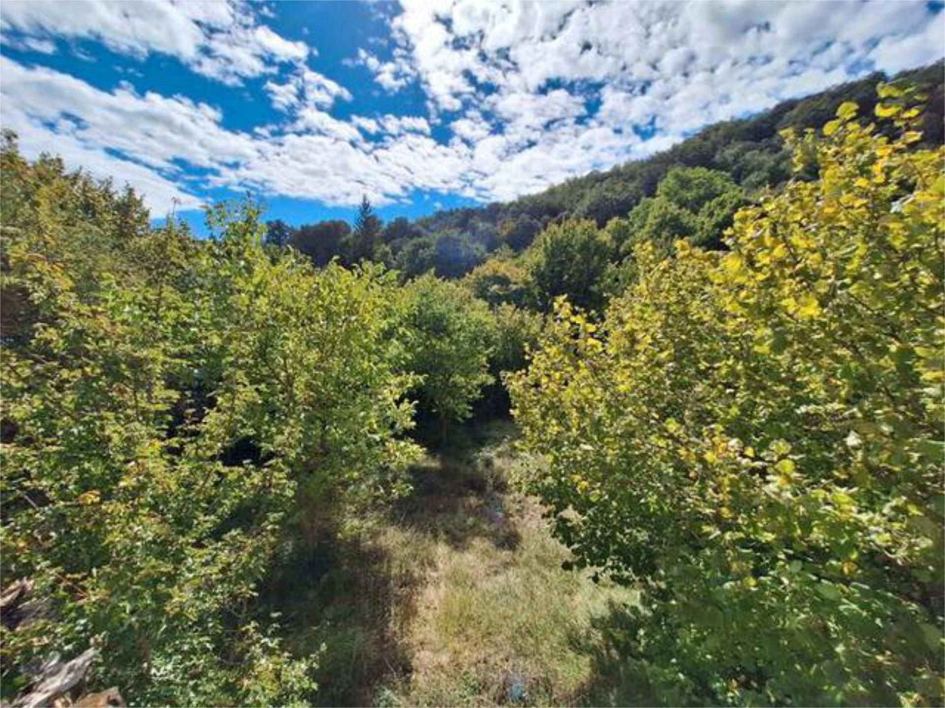 Casa o chalet en venta en Merindad de Sotoscueva con Jardín privado