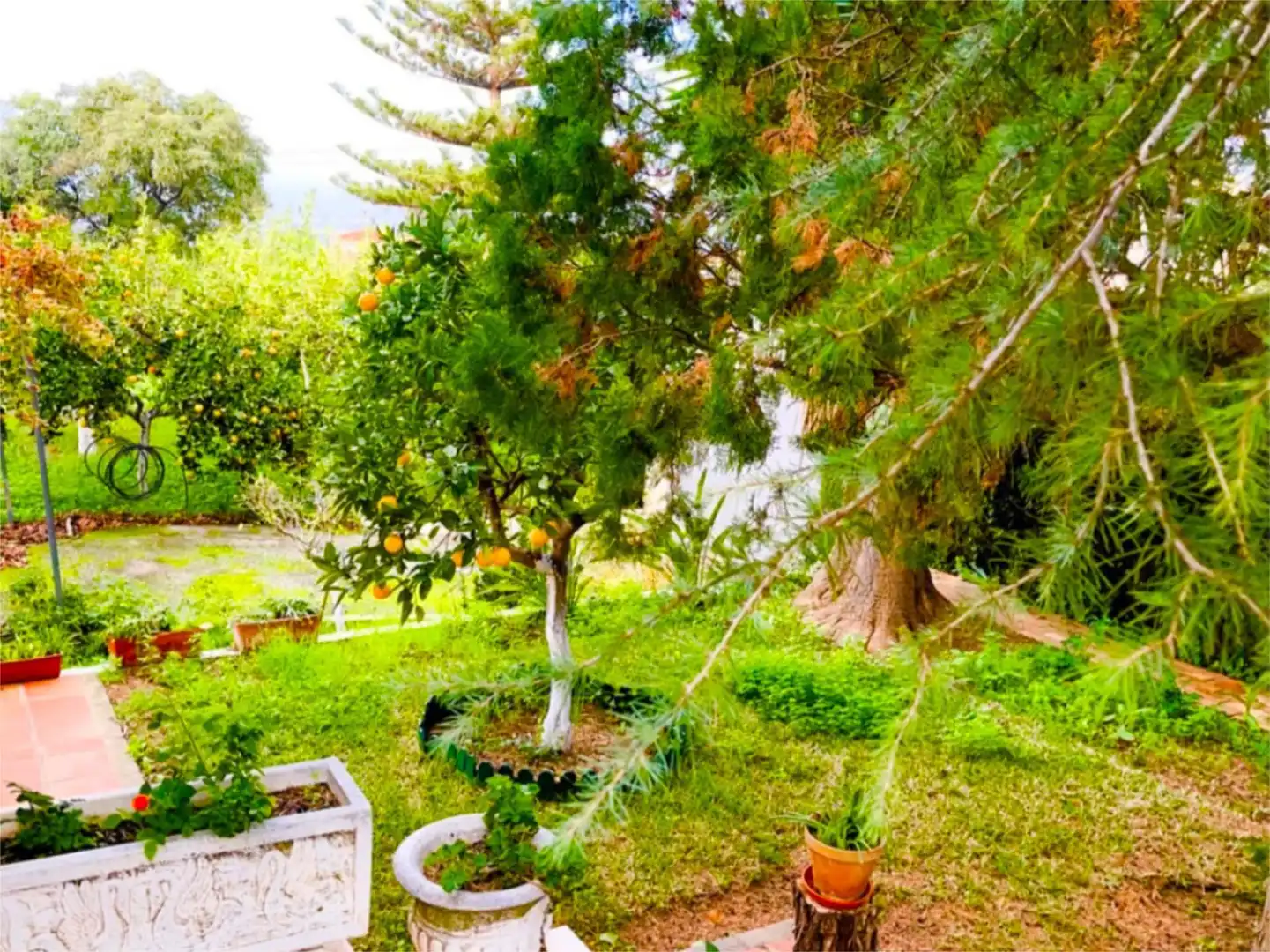 Casa o xalet en venda a Ronda el Puig de Sta. Maria, 5, Centro - El Castillo Jardí de Casa o xalet en venda en Sagunto / Sagunt amb Aire condicionat, Calefacció i Jardí privat