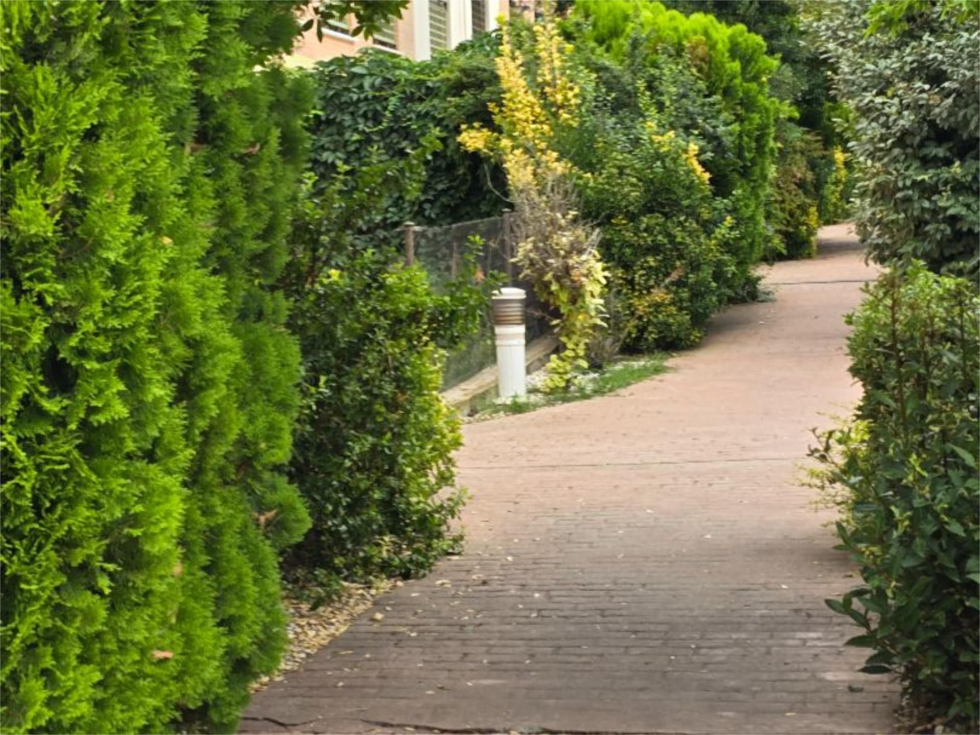 Exterior view of Flat for sale in Yepes  with Swimming Pool