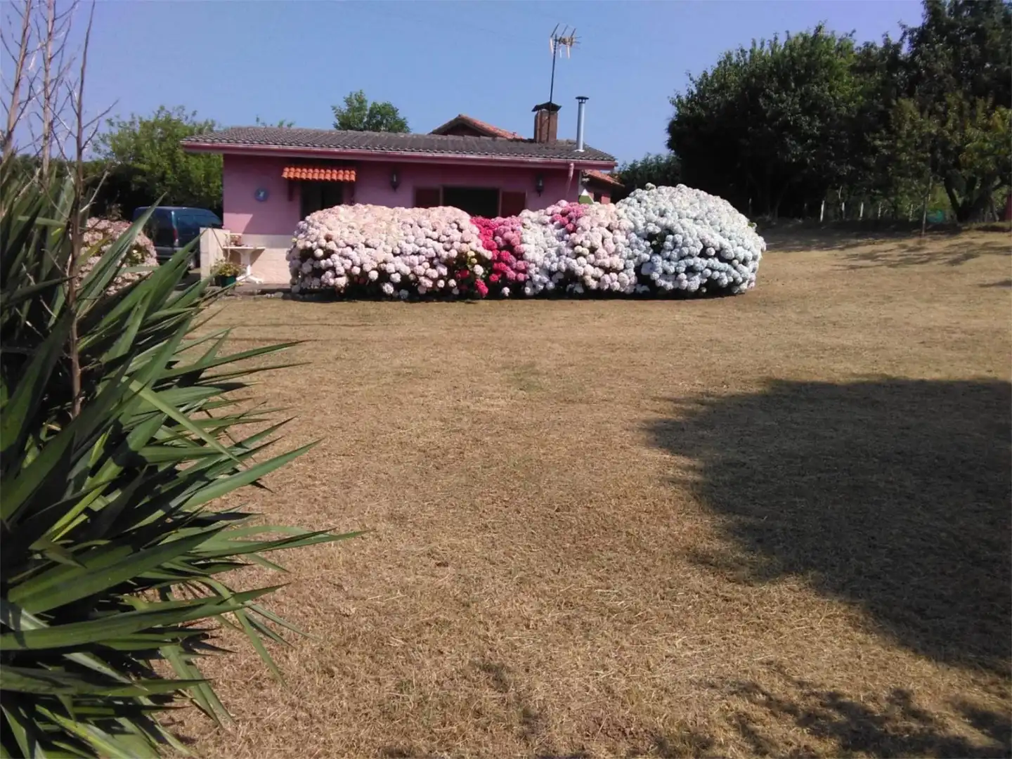 Casa o chalet en venta en Barrio de Arriba, 17, Quintes - Arroes Jardín de Casa o chalet en venta en Villaviciosa
