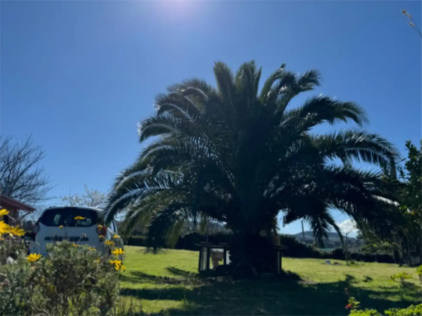 Casa o chalet en venta en Barrio de Arriba, 17, Quintes - Arroes Jardín de Casa o chalet en venta en Villaviciosa