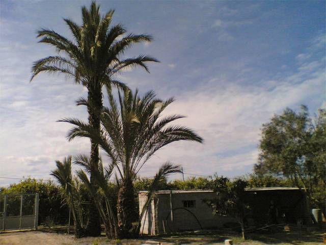 Terreno en Venta en Carril Molinero, 12 en Llano de Brujas