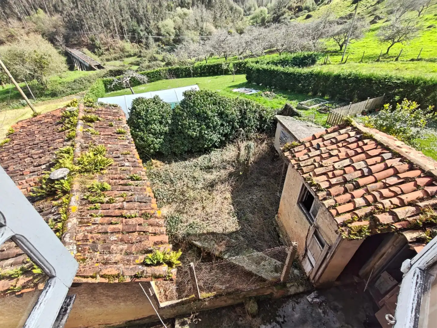 Country homes for sale in Pillarno Garden of Country homes for sale in Castrillón