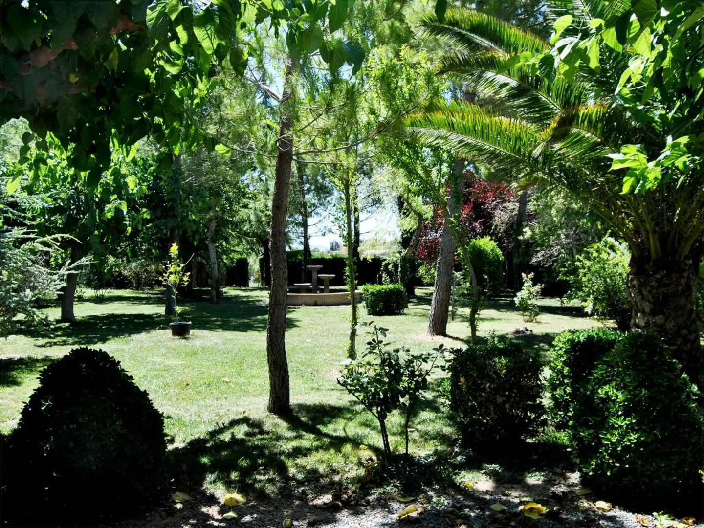 Garden of Commercial properties for sale in Solivella
