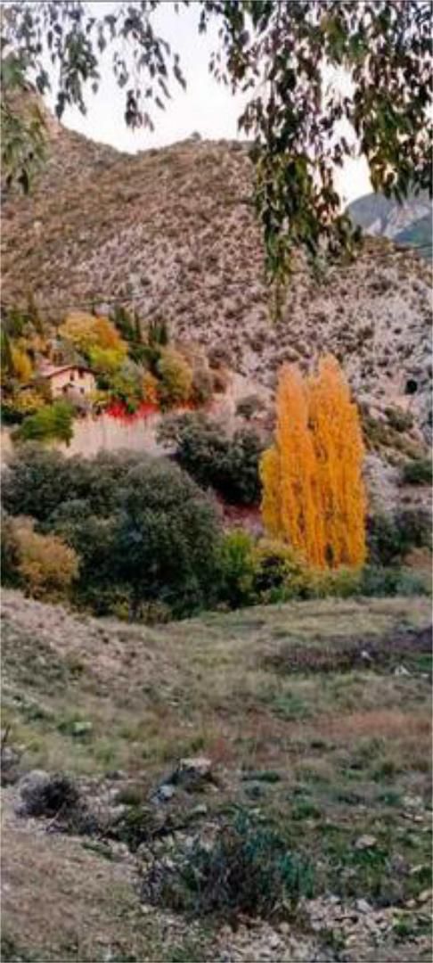 Jardí de Casa o xalet en venda en Fígols i Alinyà amb Terrassa