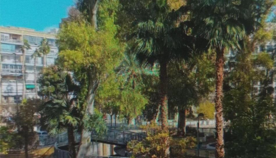 Foto 1 de Oficina de lloguer a Calle Isaac Albeniz, 9, San Antón, Murcia