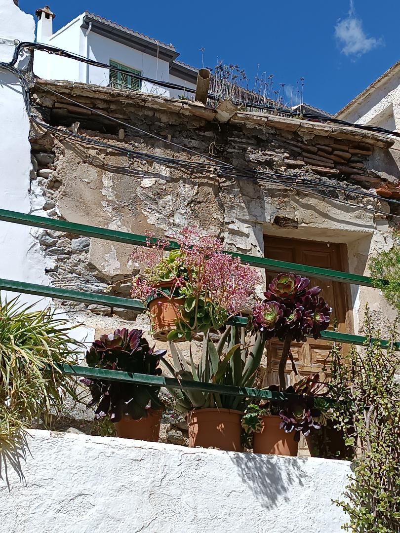 Terrassa de Planta baixa en venda en Órgiva