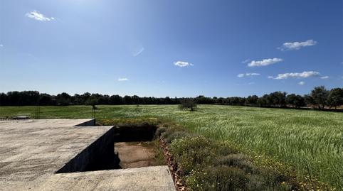 Constructible Land for sale in Zona Rústica - Interior, Illes Balears - image 2 Photo 2 of Constructible Land for sale in Zona Rústica - Interior, Illes Balears