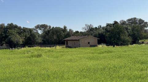 Constructible Land for sale in Zona Rústica - Interior, Illes Balears - image 4 Photo 4 of Constructible Land for sale in Zona Rústica - Interior, Illes Balears
