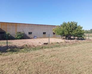 No Urbanitzable en venda en Sariñena